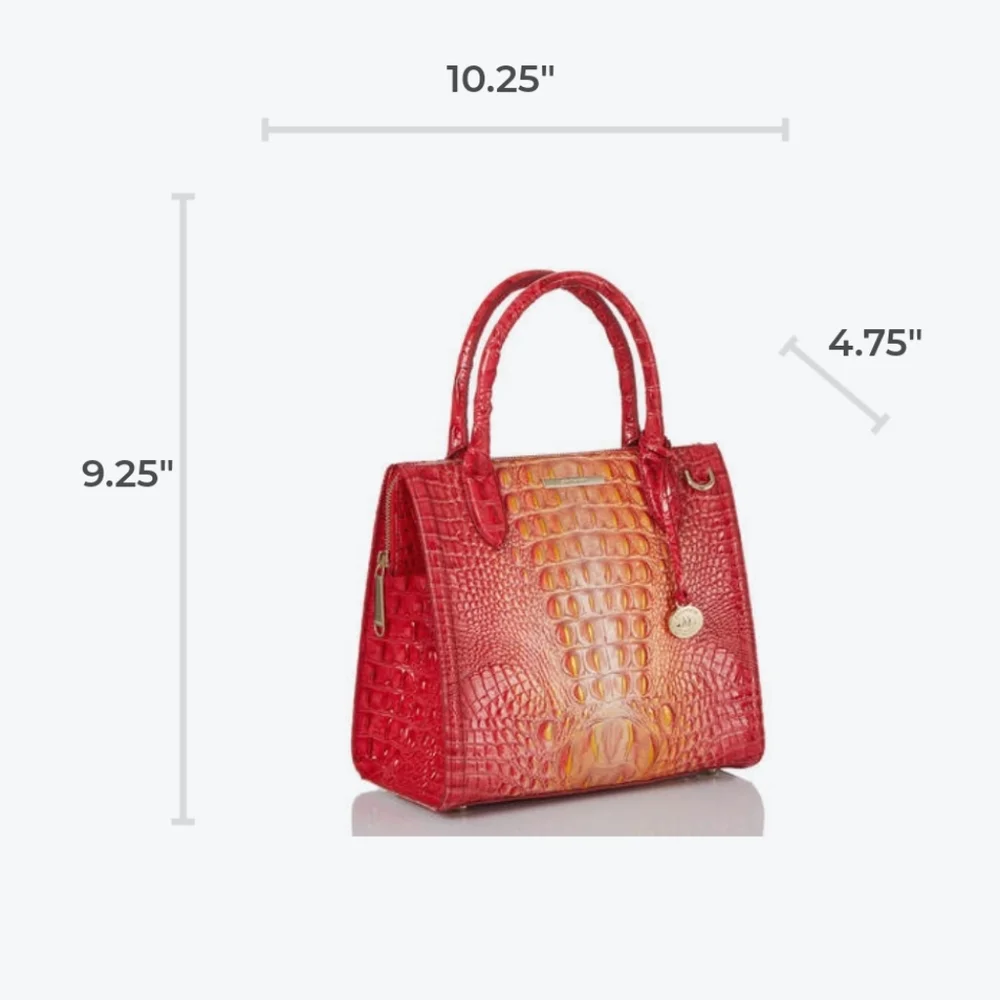 NWT🌺 Brahmin Small Caroline Infusion Ombre Melbourne Leather bag